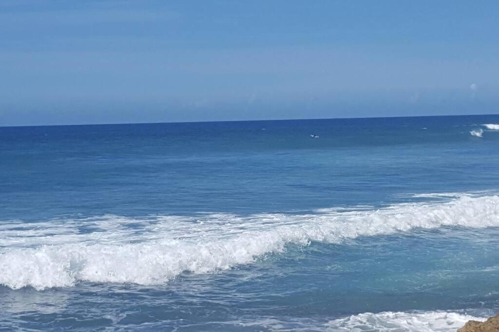 Summer All Year! Oceanfront With Pool A/C Aguadilla Exteriér fotografie